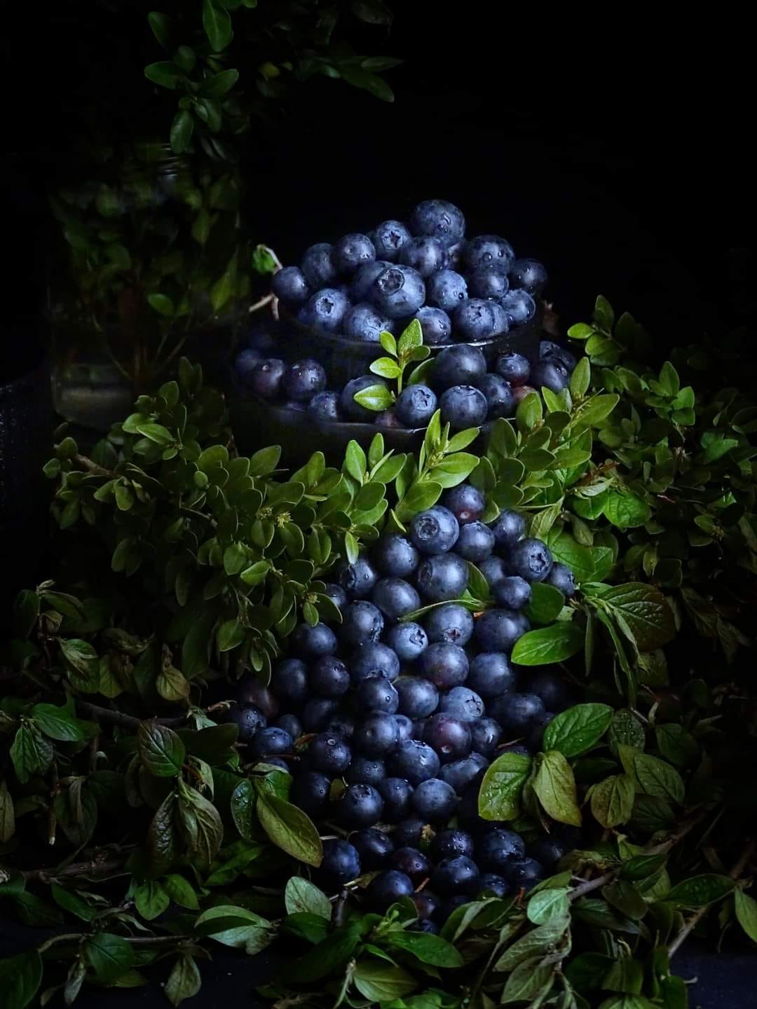 A bunch of blueberries